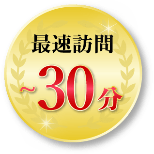 最短訪問〜30分